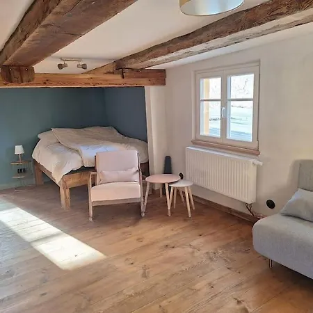 公寓 Alte Schmiede *