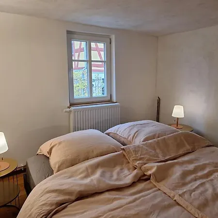 Apartman Alte Schmiede *